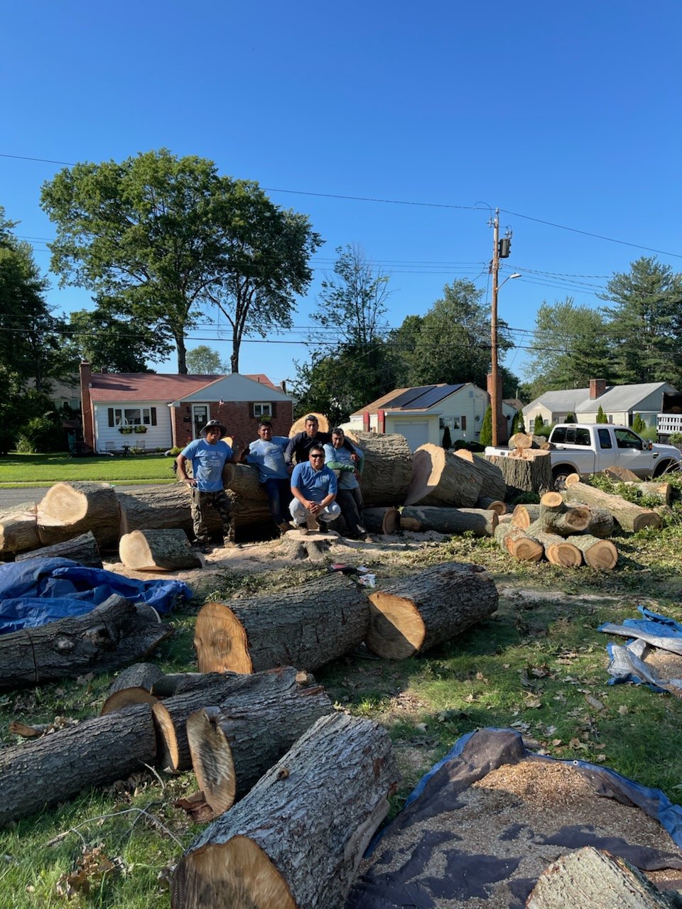 Antonio Landscaping Services — our work